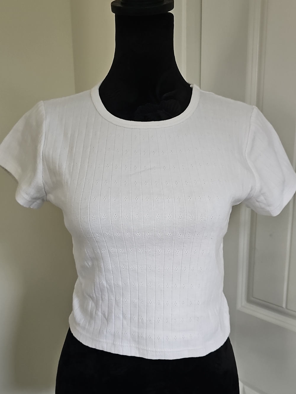 Gaze White Short Sleeve Ribbed Knit Tee With Eyelet Detail Cropped, Medium